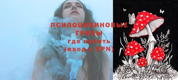 СК Абаза